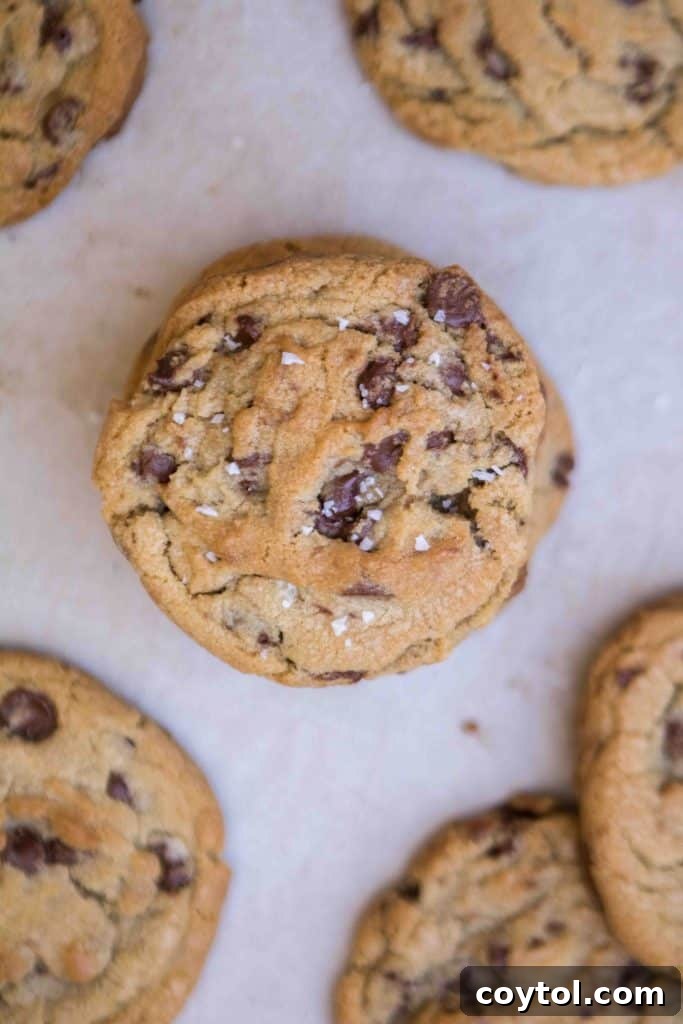 Brown butter chocolate chips that taste like toffee topped with sea salt