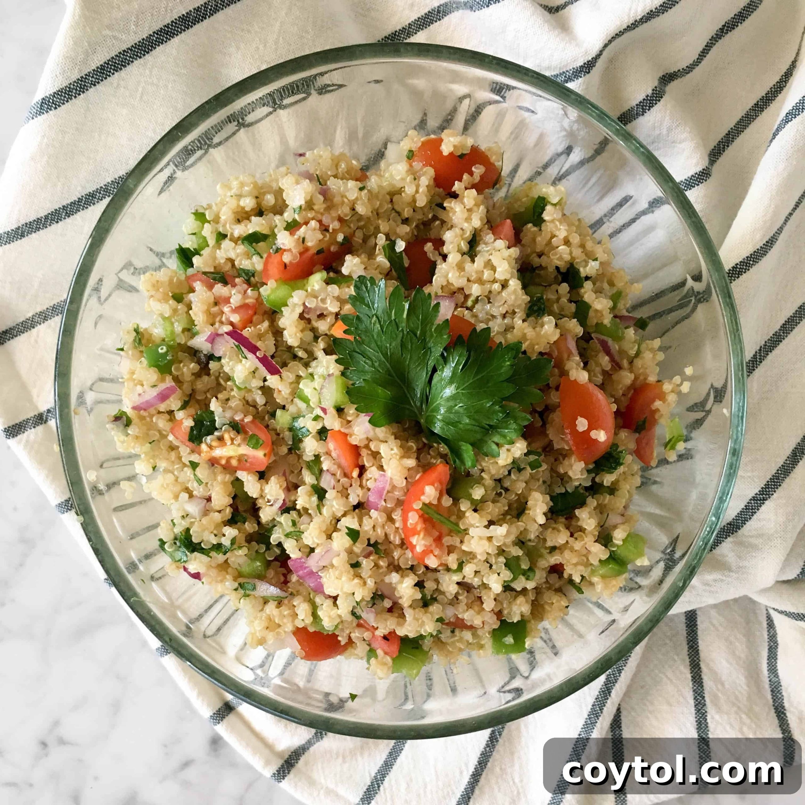 Fresh Mediterranean Quinoa Salad with Parsley and Cherry Tomatoes
