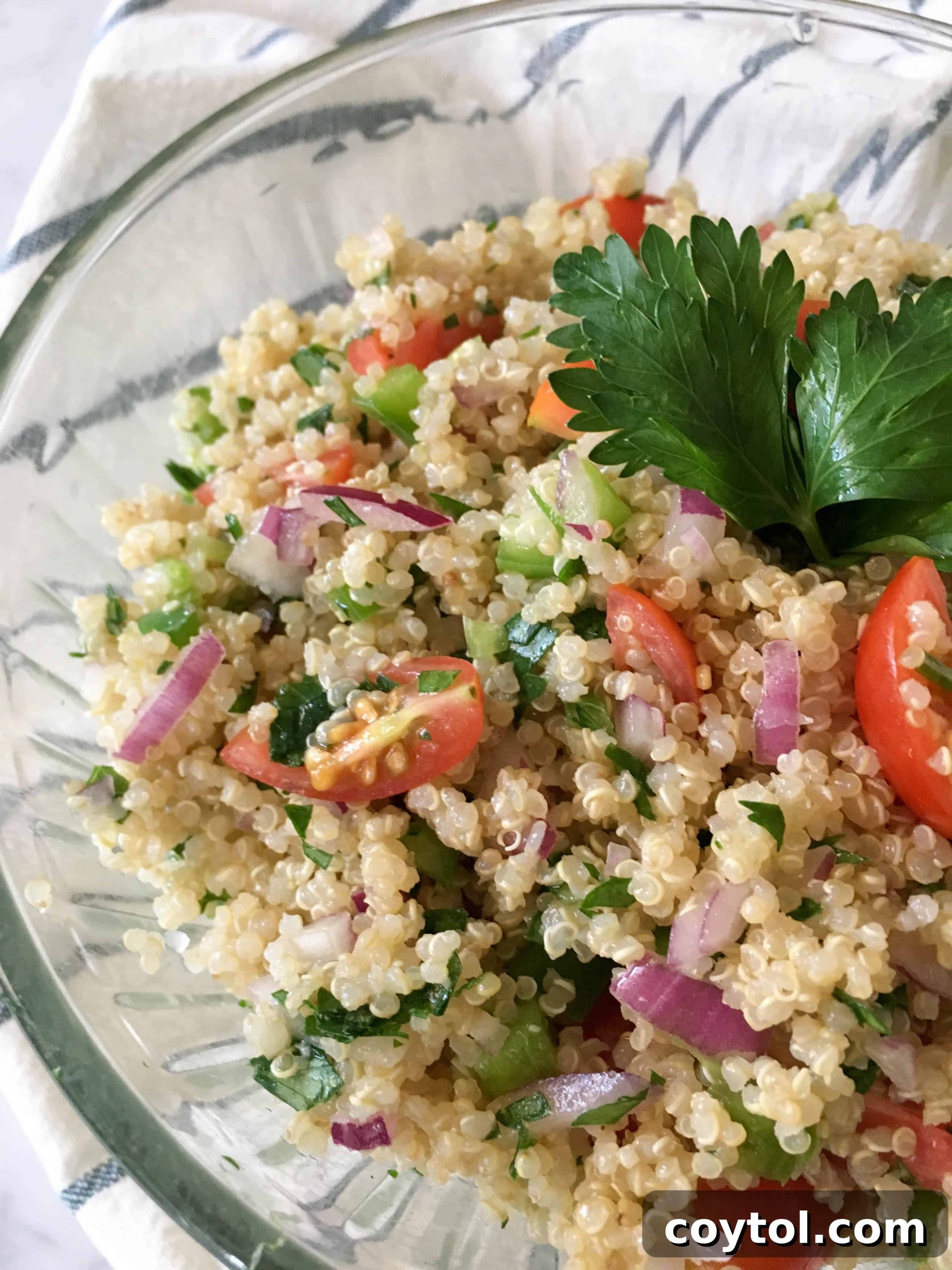 Final Product: Delicious and Healthy Quinoa Salad