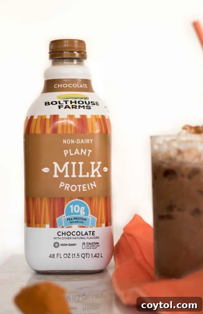 A single glass of Iced Vegan Pumpkin Spice Hot Chocolate, elegantly presented with a dollop of whipped topping and a sustainable straw, positioned on a rustic wooden table, inviting a moment of serene enjoyment.