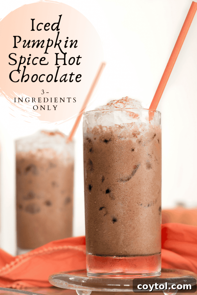 Top-down view of Iced Vegan Pumpkin Spice Hot Chocolate, showcasing its rich, dark color with a frothy layer and a perfect circle of spice sprinkles.