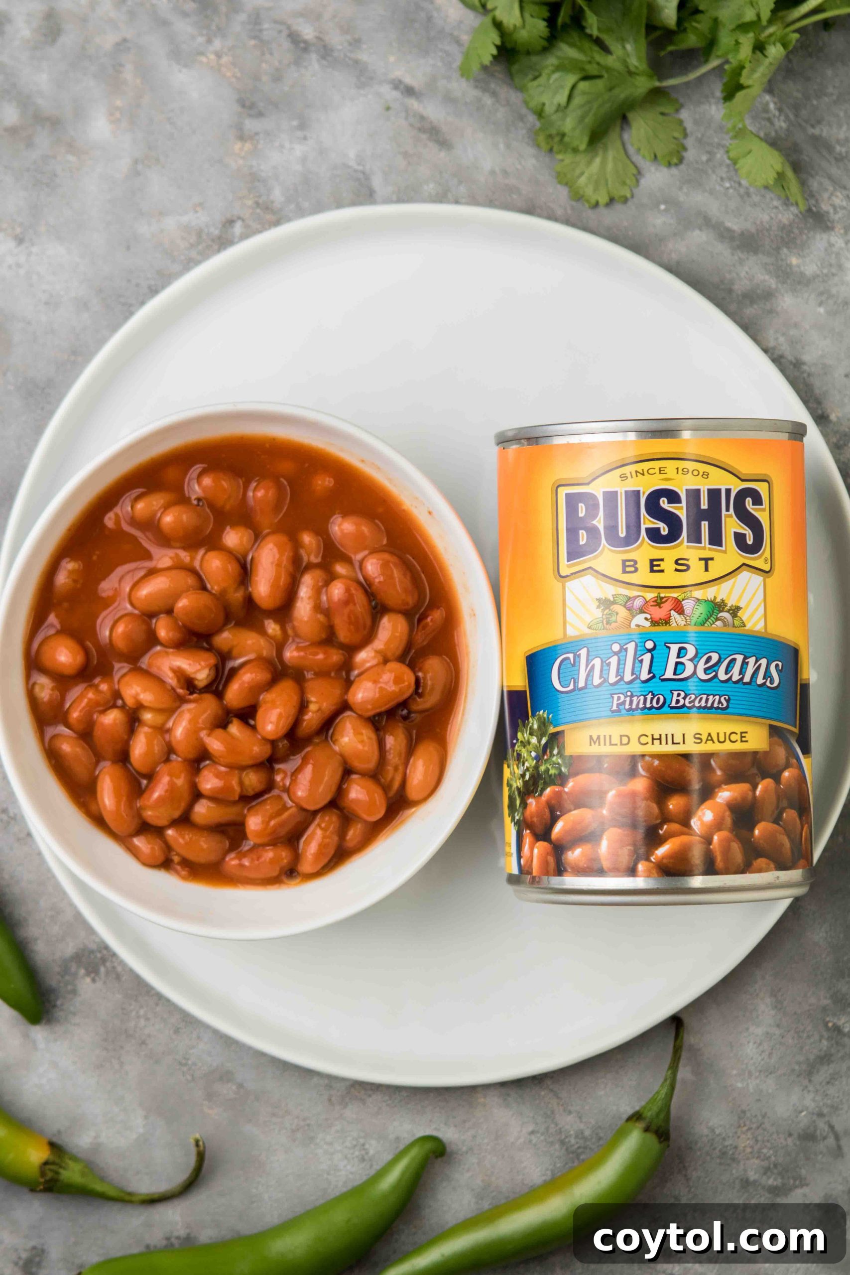 Mediterranean chili recipe with Bush's beans