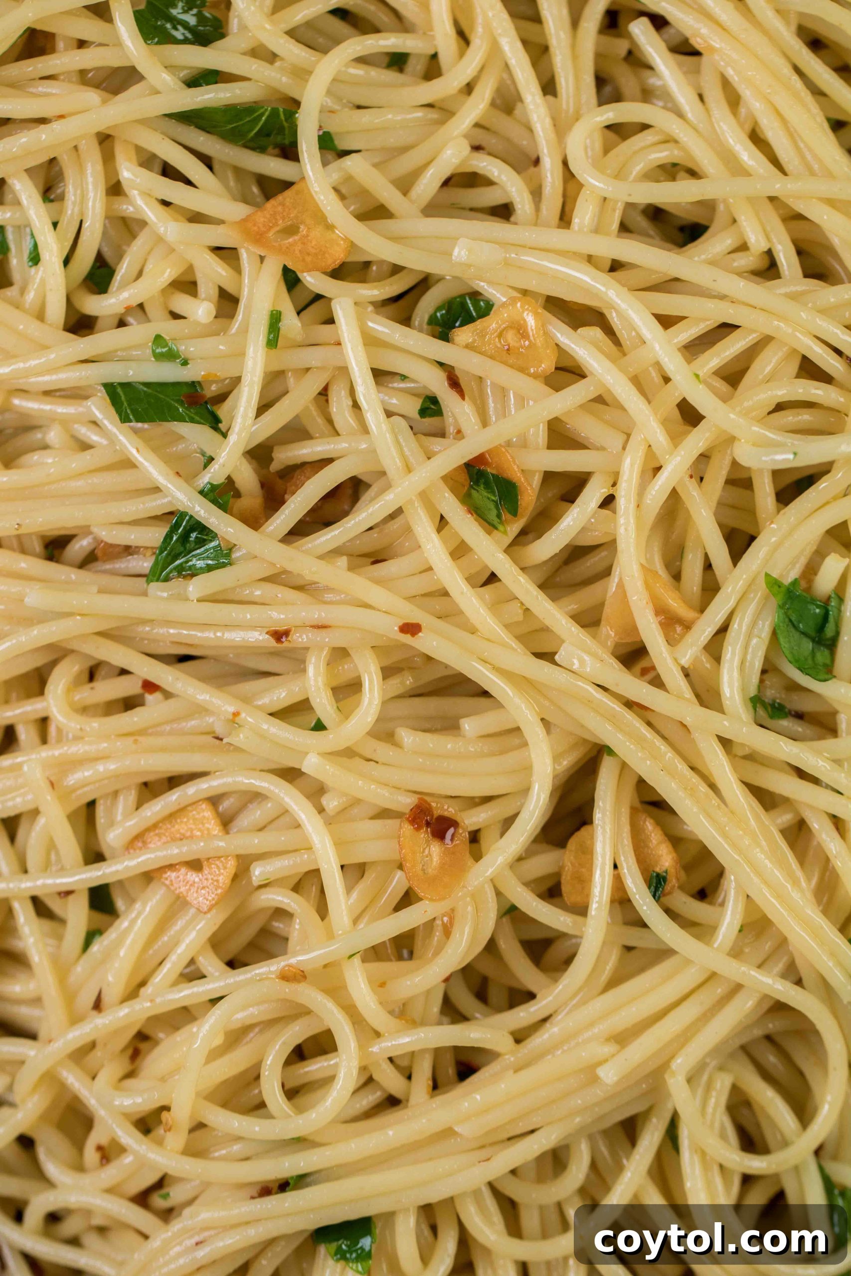Close up shot of caramelized garlic with spaghetti and parmesan