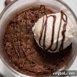 The top of the brownie in a mug recipe with a vanilla bean ice cream scoop