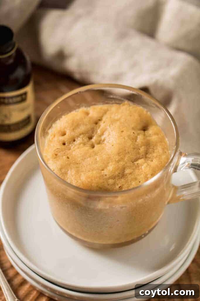 Close-up of peanut butter mug cake with whipped topping and crushed peanuts on a spoon.