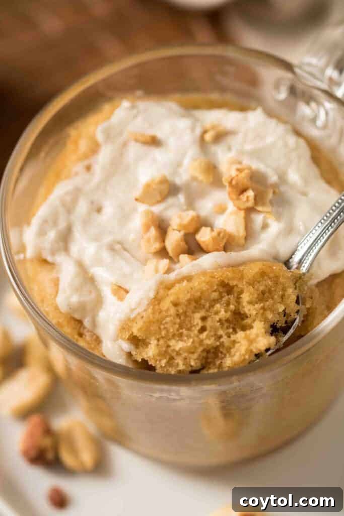 Close-up of peanut butter mug cake with whipped topping and crushed peanuts on a spoon.