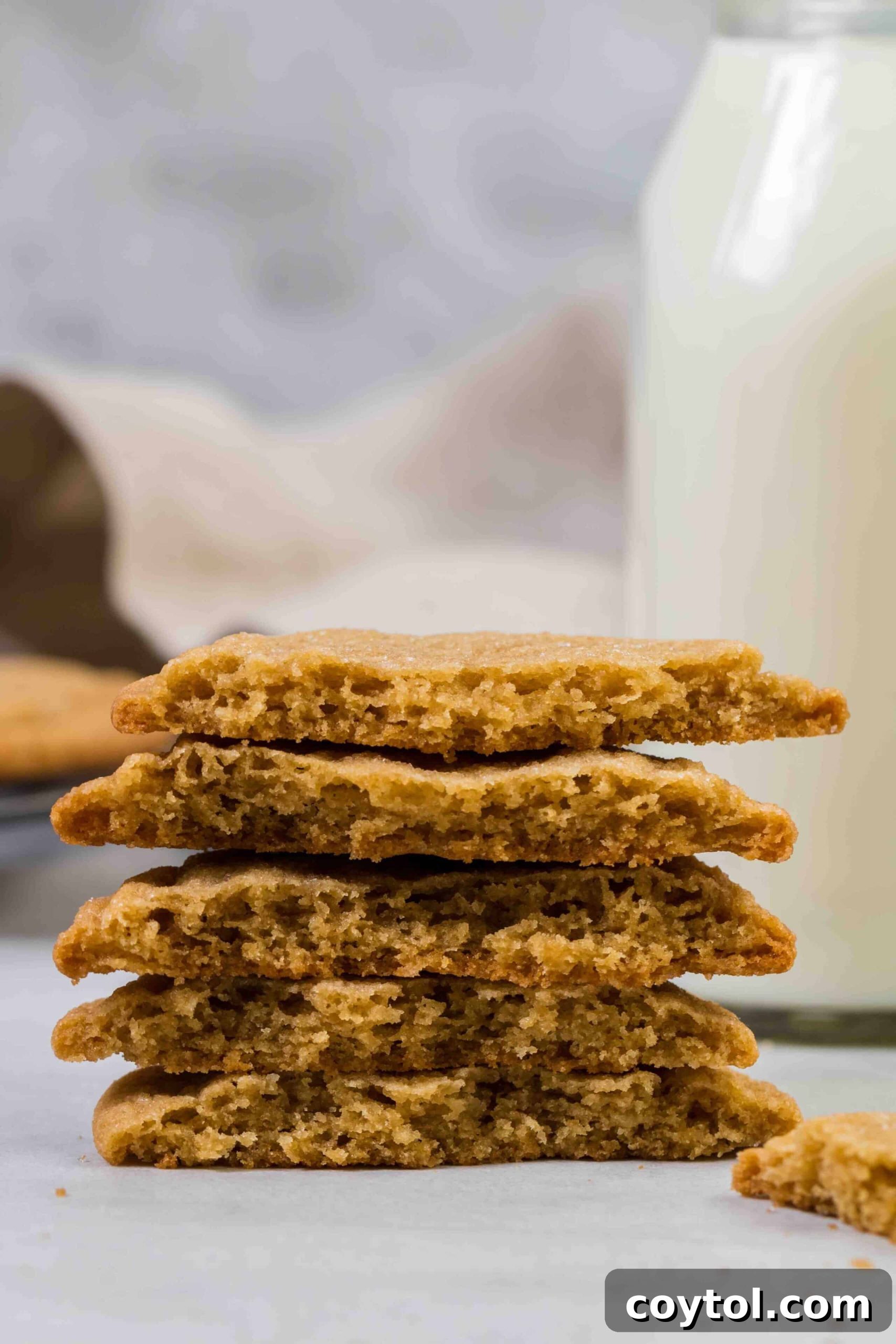 Rich, Chewy Brown Sugar Cookies 2 The inside of a chewy brown butter brown sugar cookie, showing its soft texture.