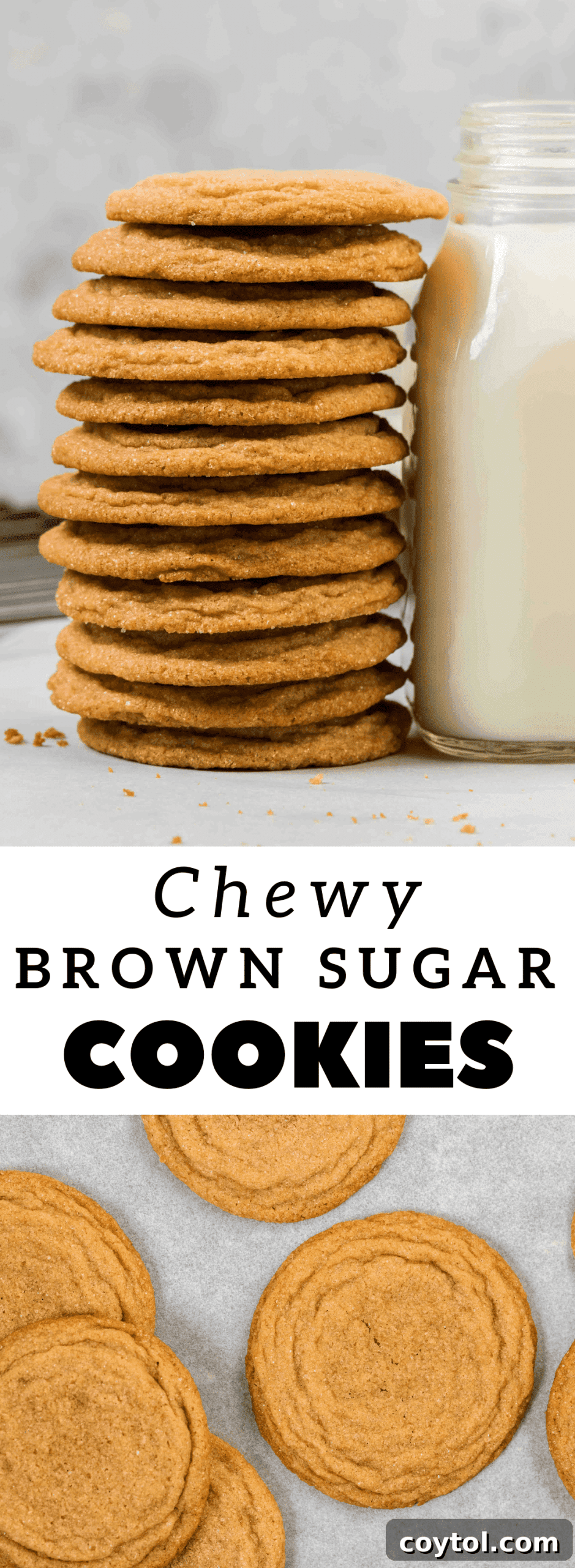 Rich, Chewy Brown Sugar Cookies 11 img 32990 13 scaled
