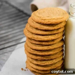 Rich, Chewy Brown Sugar Cookies 9 Easy and chewy brown sugar cookies with a bite
