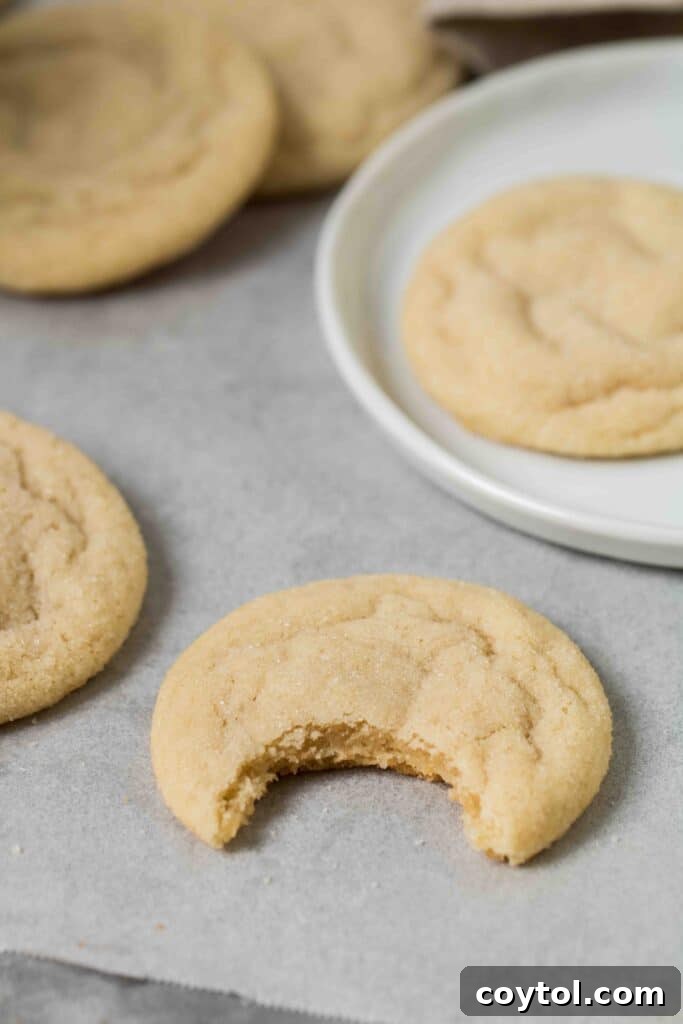 Sugar cookie with a bite taken out of it