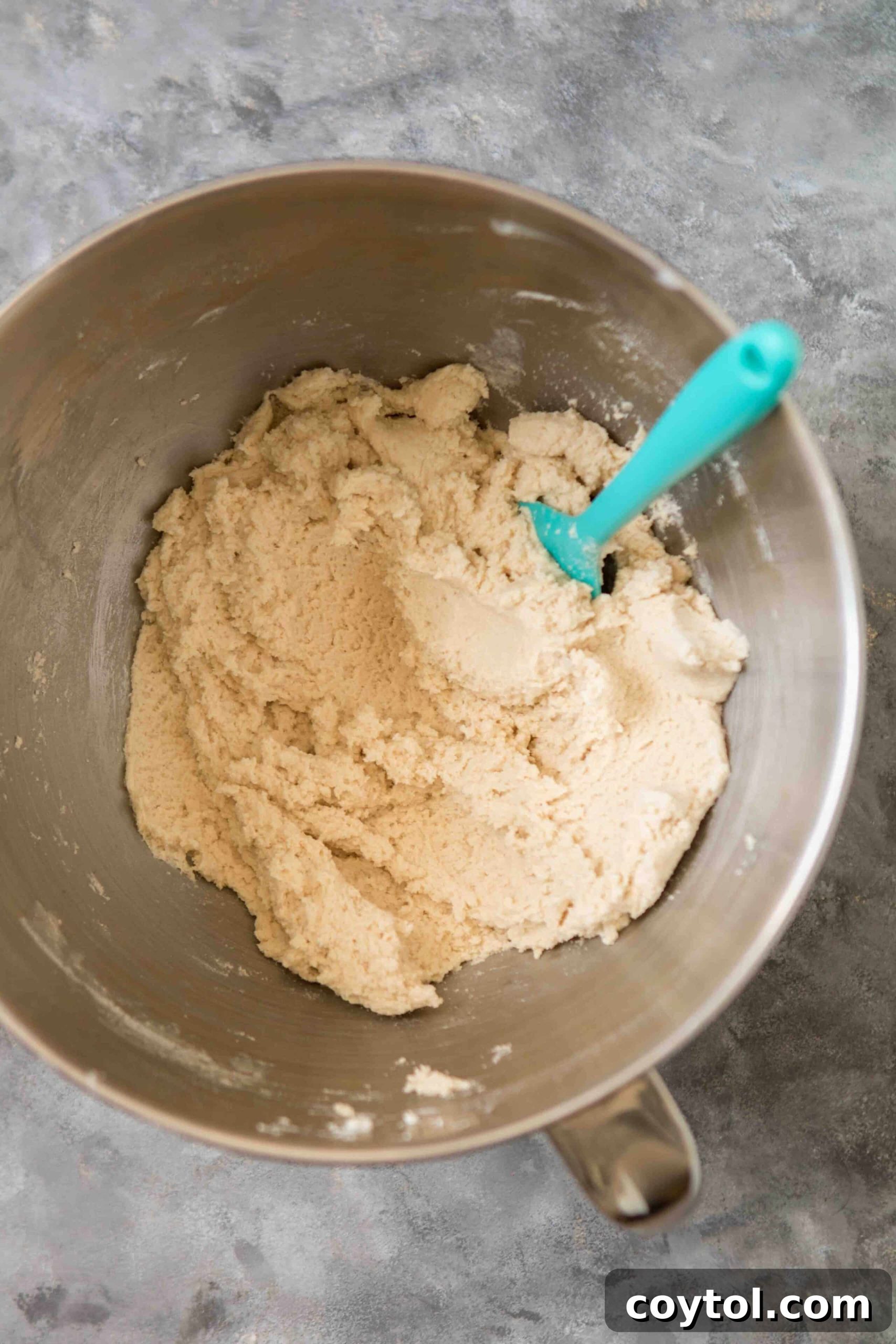 vanilla sugar cookie dough