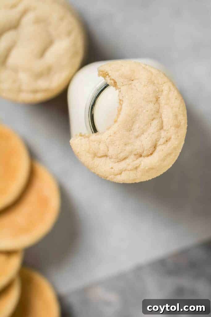 Overhead shot of soft sugar cookies