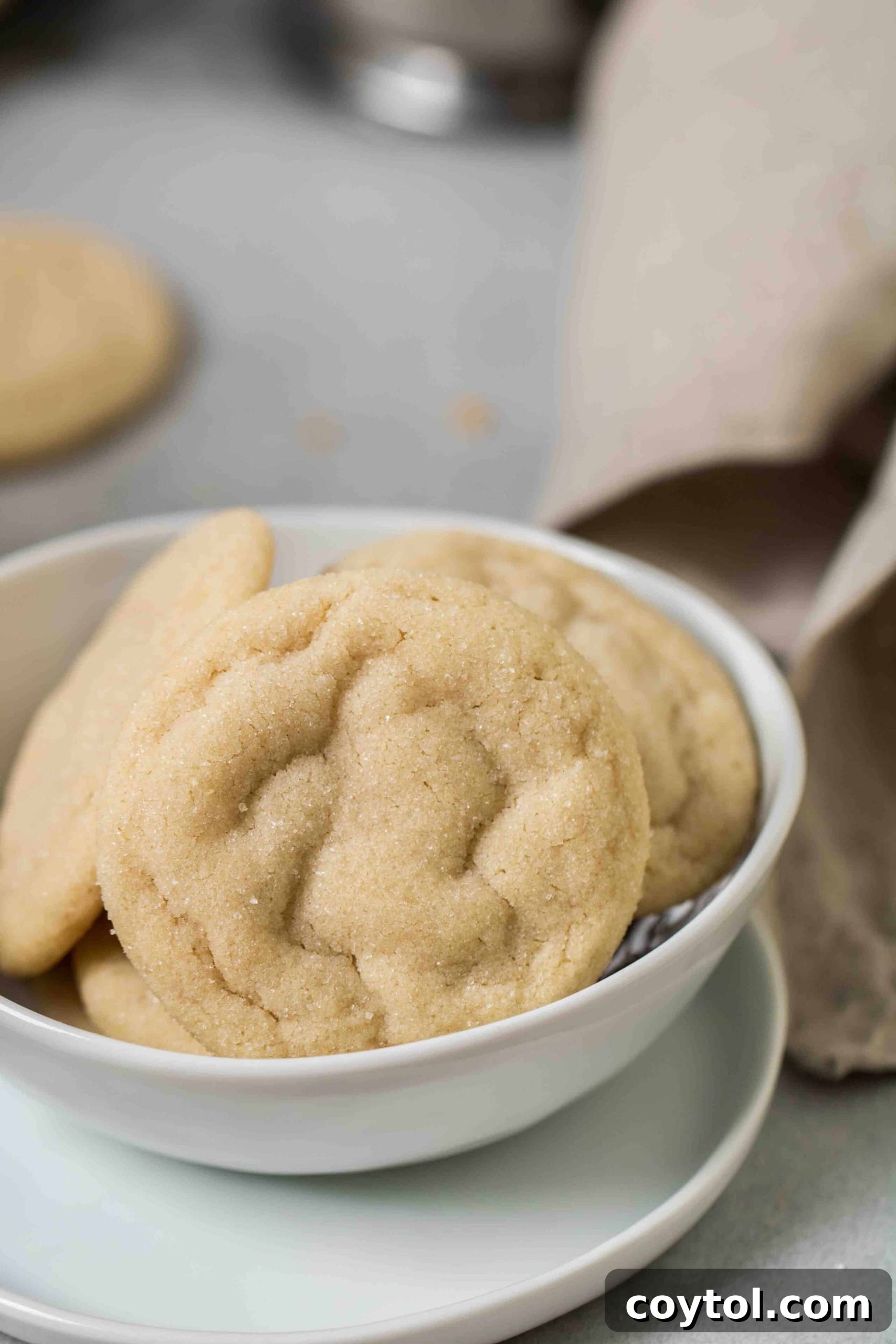 Close up texture of vanilla cookies