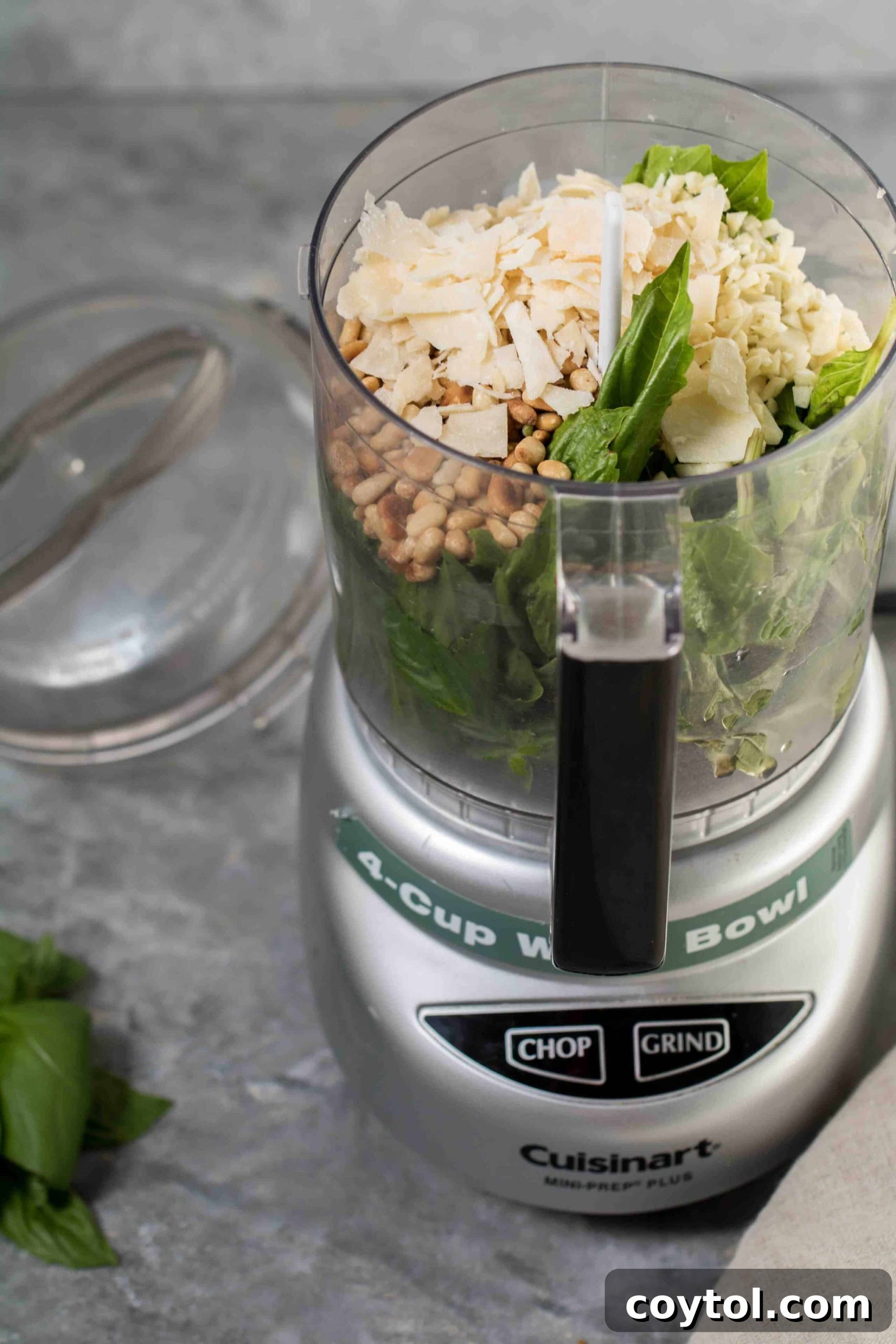 All the fresh ingredients for homemade pesto, including basil, pine nuts, garlic, Parmesan, and olive oil, arranged around a food processor.