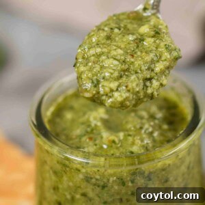 Close up of homemade pesto in a spoon recipe