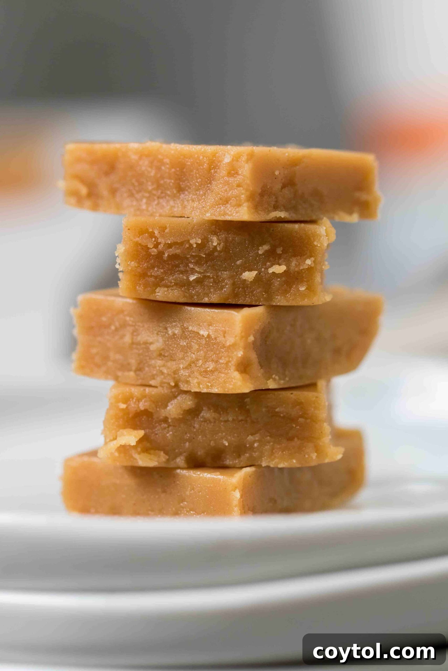 Decadent Small Batch Keto Peanut Butter Fudge 2 Close-up of creamy keto peanut butter fudge squares, perfectly sliced and ready to enjoy.