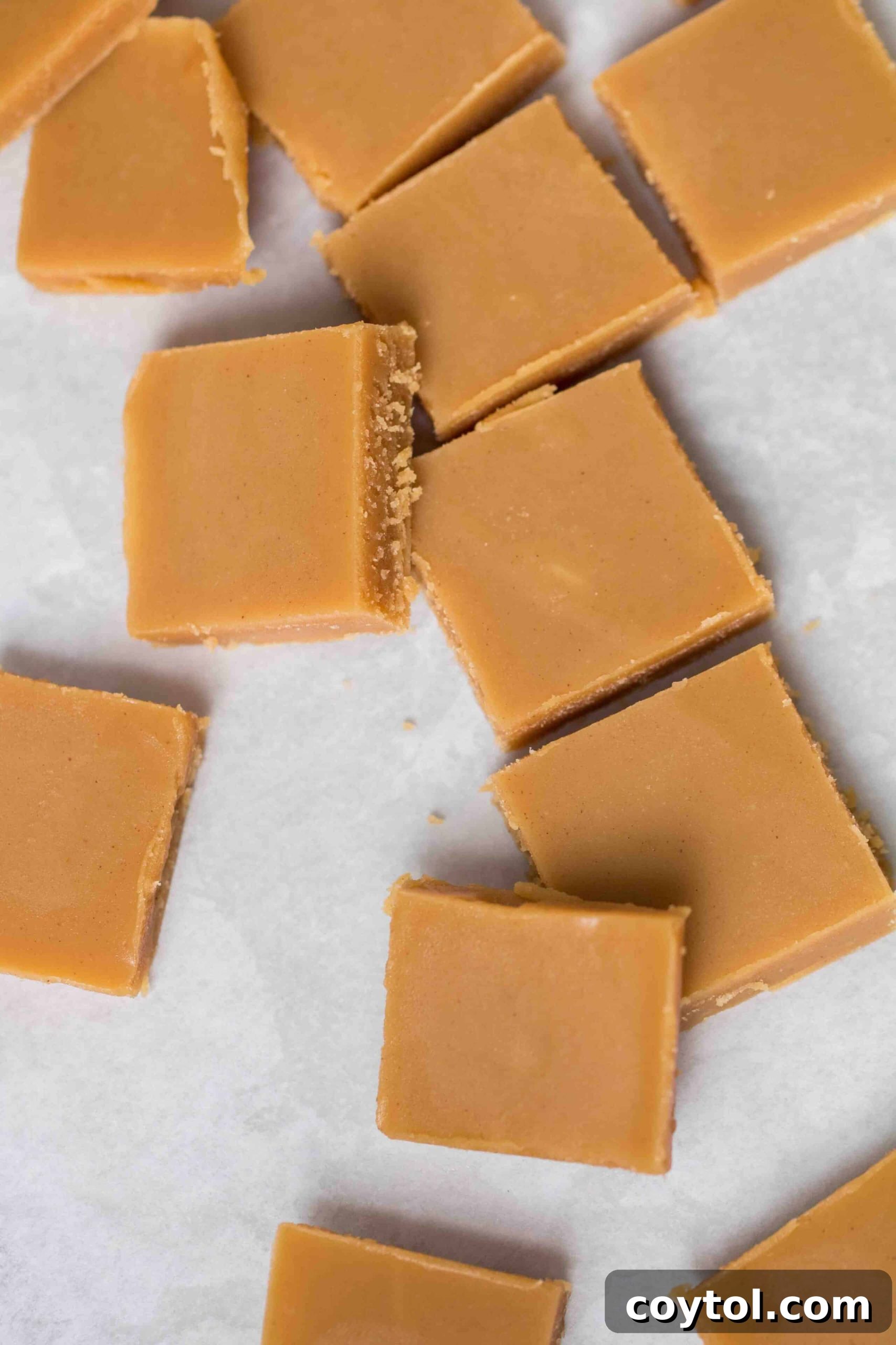 Decadent Small Batch Keto Peanut Butter Fudge 9 Perfectly cut keto peanut butter fudge squares arranged neatly, showcasing their rich color and smooth texture.
