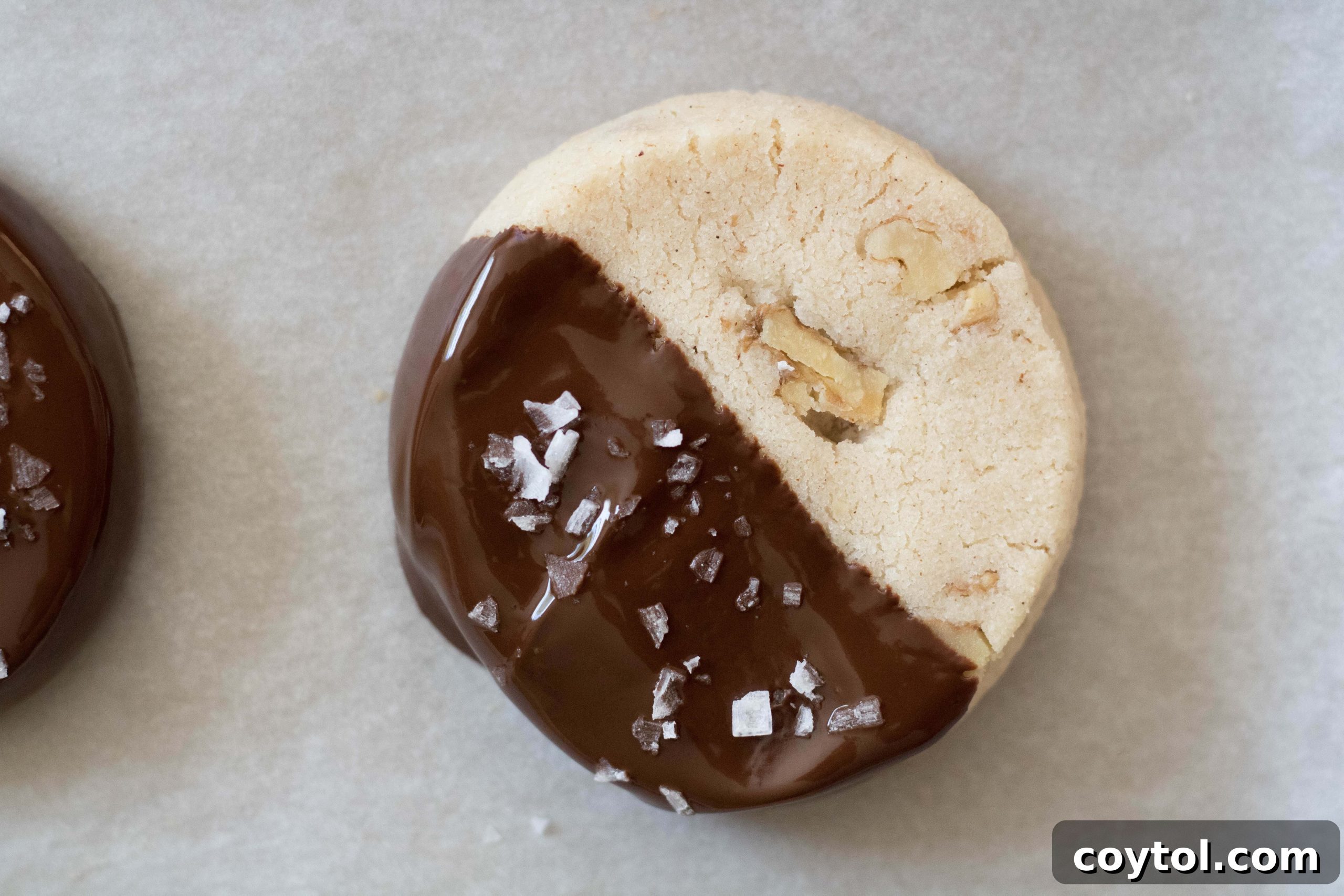 Chocolate walnut cut and bake cookies