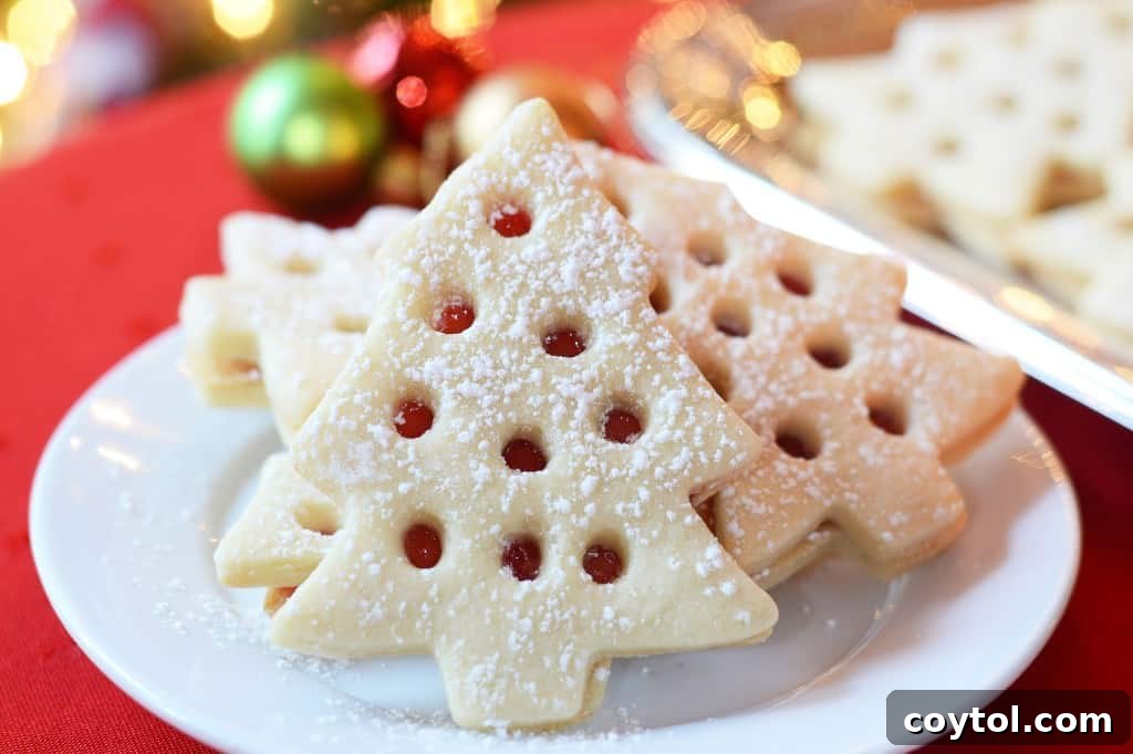 Raspberry filled christmas cookies