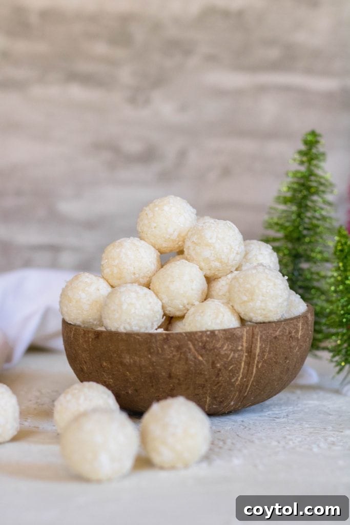 Easy 2 ingredient no bake coconut balls