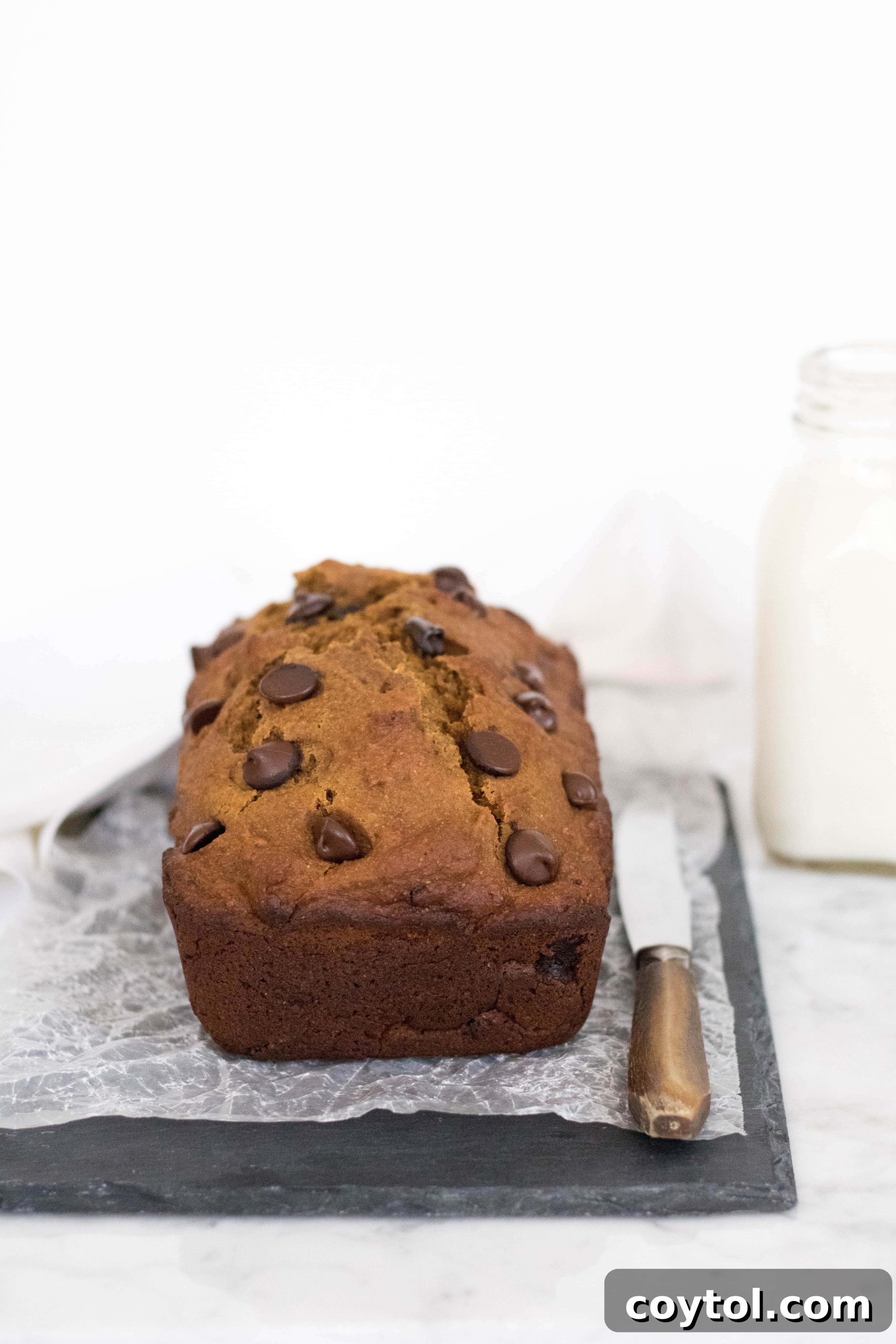 Wholesome Pumpkin Chocolate Chip Loaf 4 Close-up of healthy pumpkin bread slice with chocolate chips
