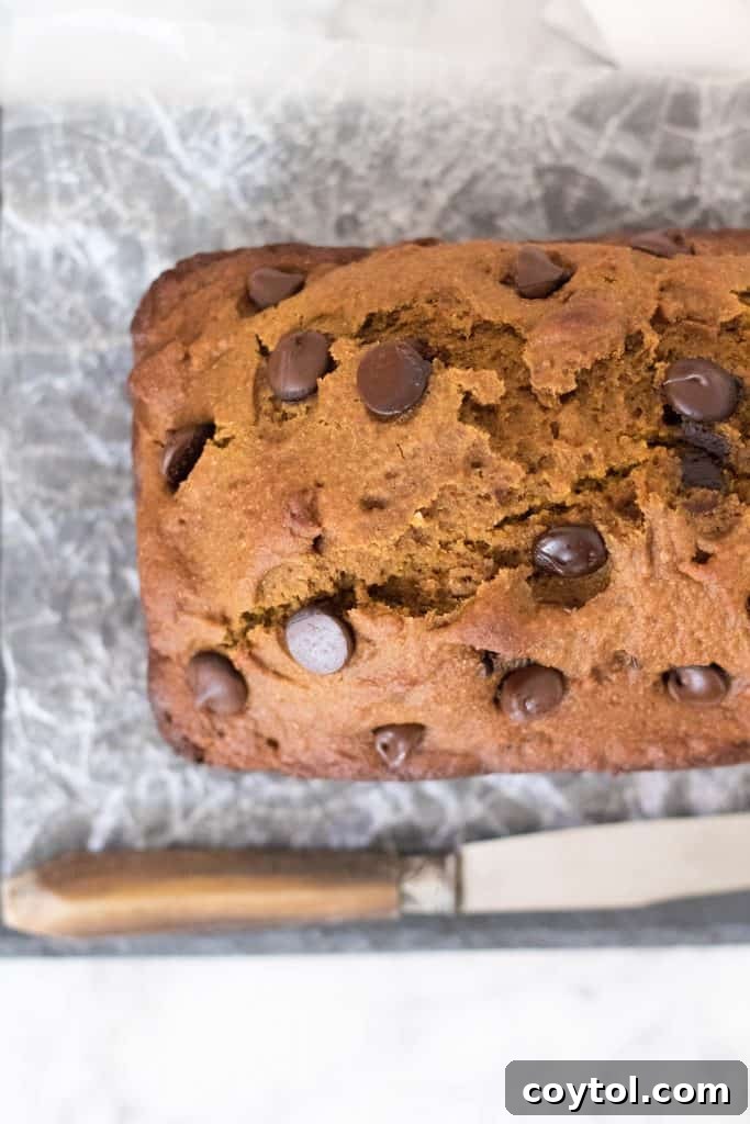 Wholesome Pumpkin Chocolate Chip Loaf 5 Healthy Pumpkin bread loaf cut into slices