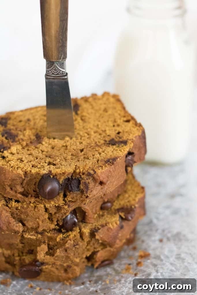 Wholesome Pumpkin Chocolate Chip Loaf 8 Healthy Pumpkin bread slices stacked on a plate