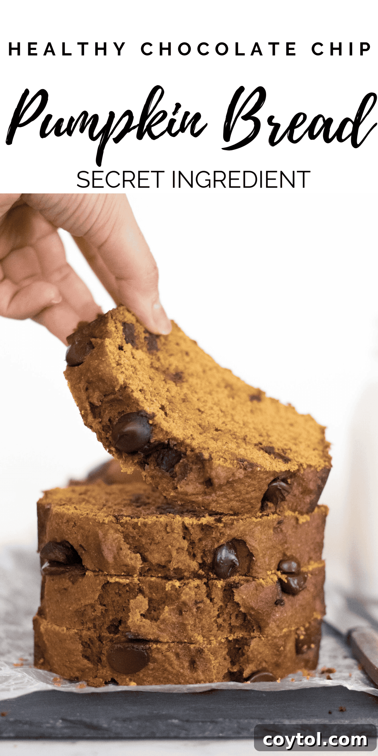 Wholesome Pumpkin Chocolate Chip Loaf 9 Pin-friendly image for Healthy Pumpkin Bread with Chocolate Chips