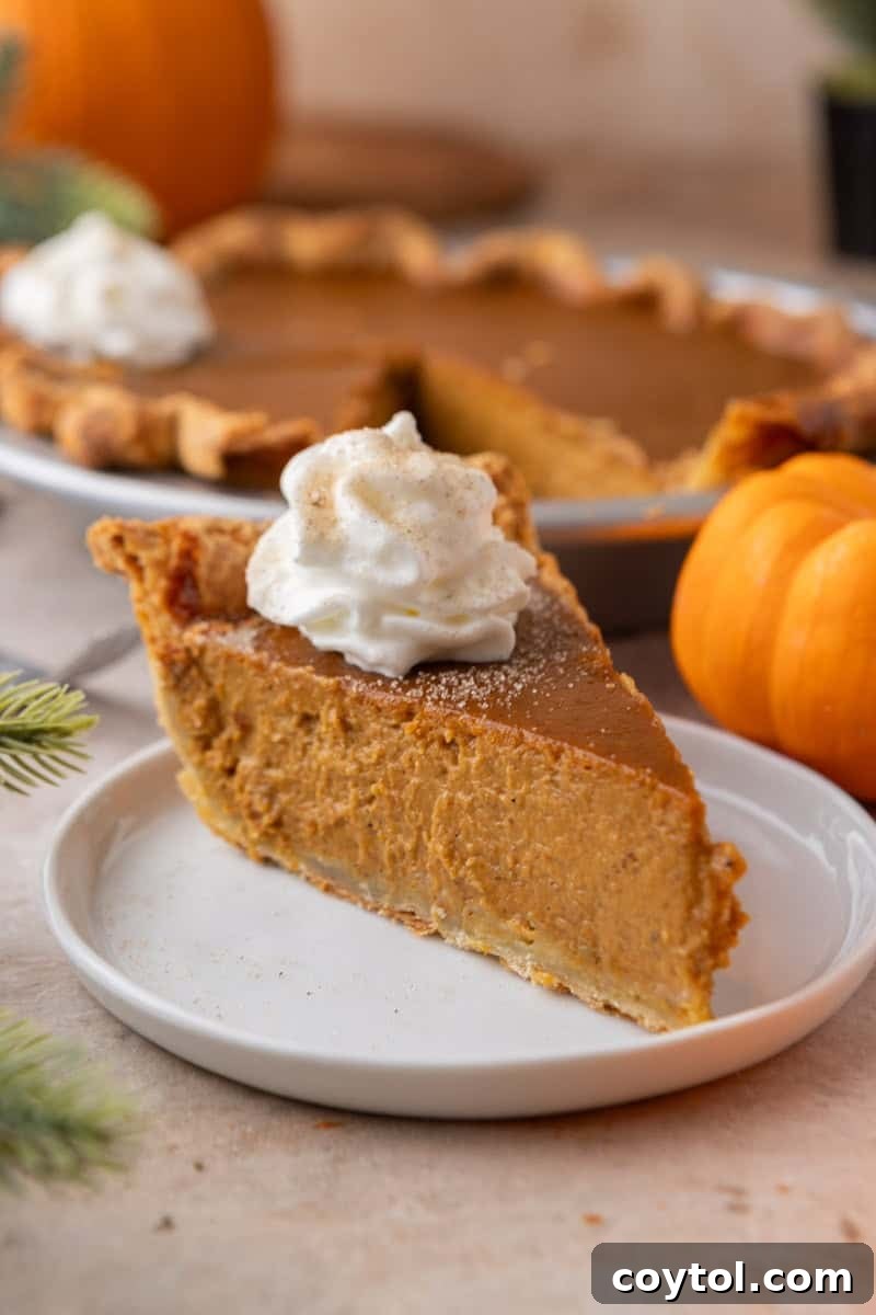 A thick slice of homemade pumpkin pie topped with a swirl of whipped cream and dusted with cinnamon on a white plate.