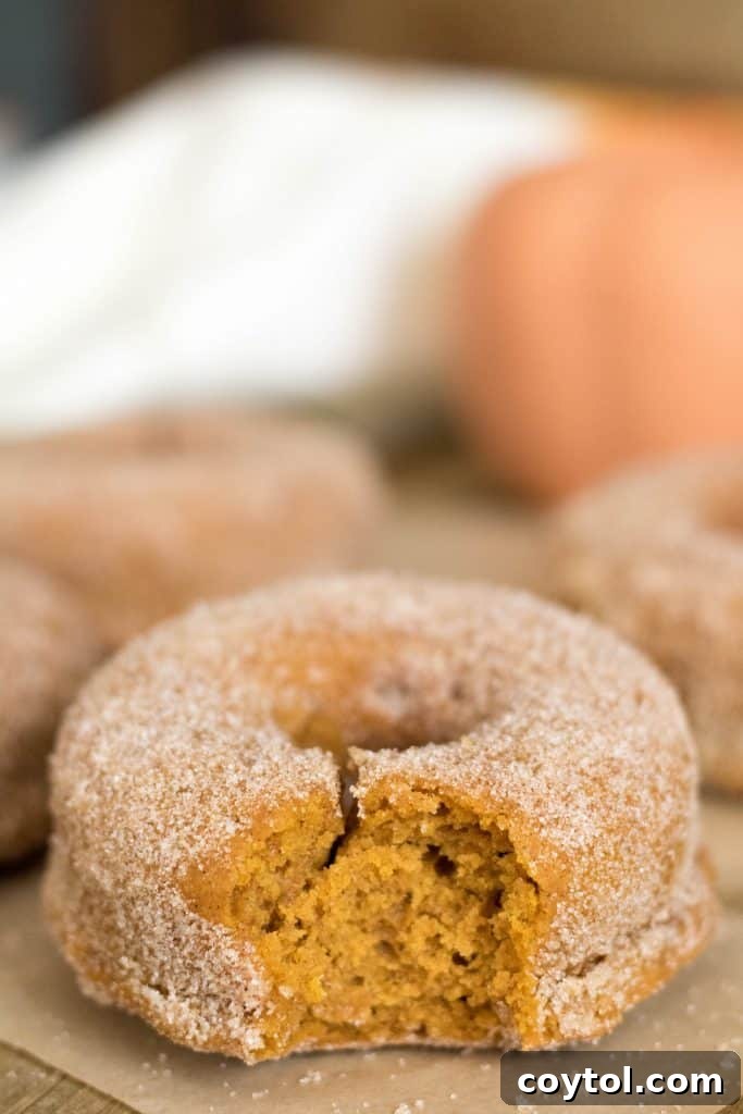 Small batch pumpkin donuts, perfectly golden and ready for a cinnamon sugar coating.