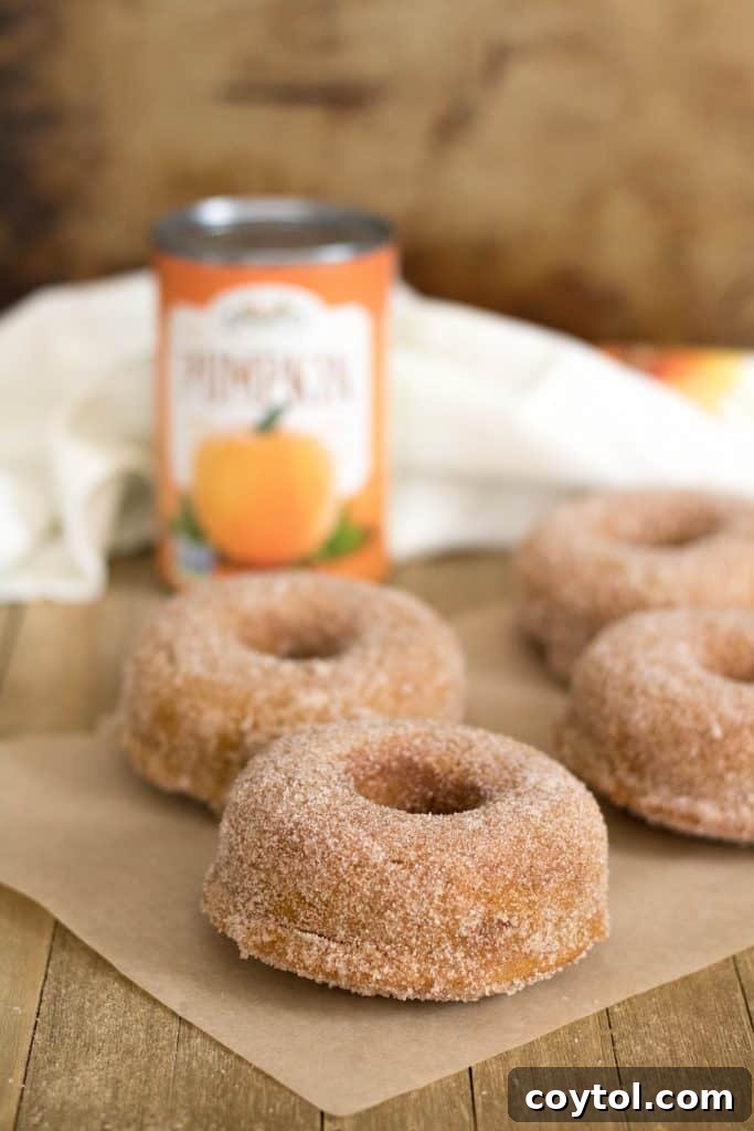 Close-up of freshly baked small batch pumpkin donuts, showcasing their fluffy texture.