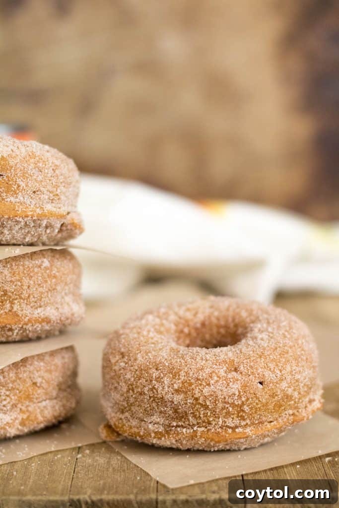 A stack of three small batch pumpkin donuts coated in cinnamon sugar, ready to be enjoyed.