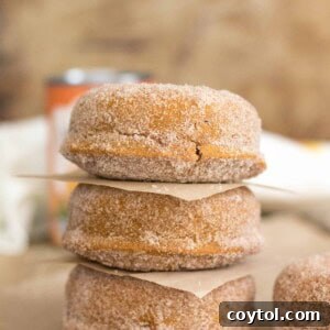 The best pumpkin donut thanksgiving dessert recipes