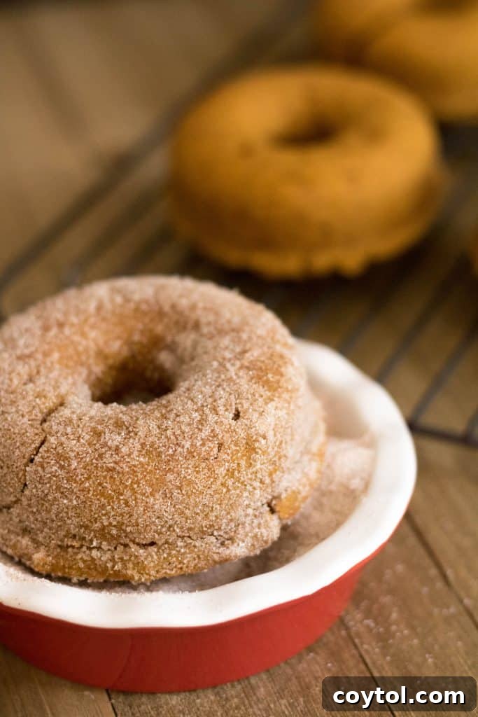 Two hands holding a perfectly baked and coated small batch pumpkin donut.