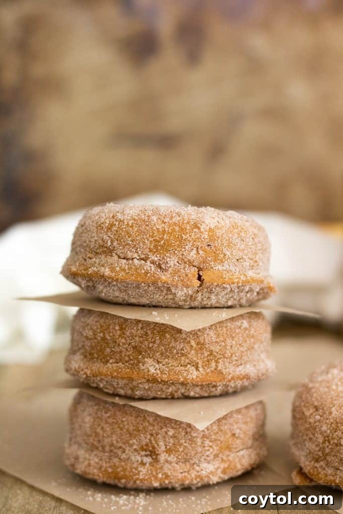 A beautifully styled shot of a small batch pumpkin donut alongside autumnal decorations.
