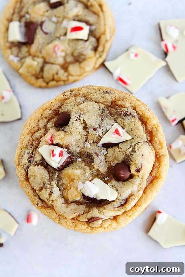 17 days of holiday cookie recipes
