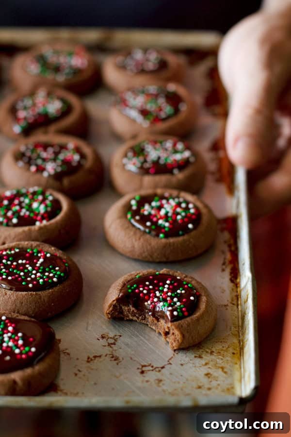 17 days of holiday cookie recipes