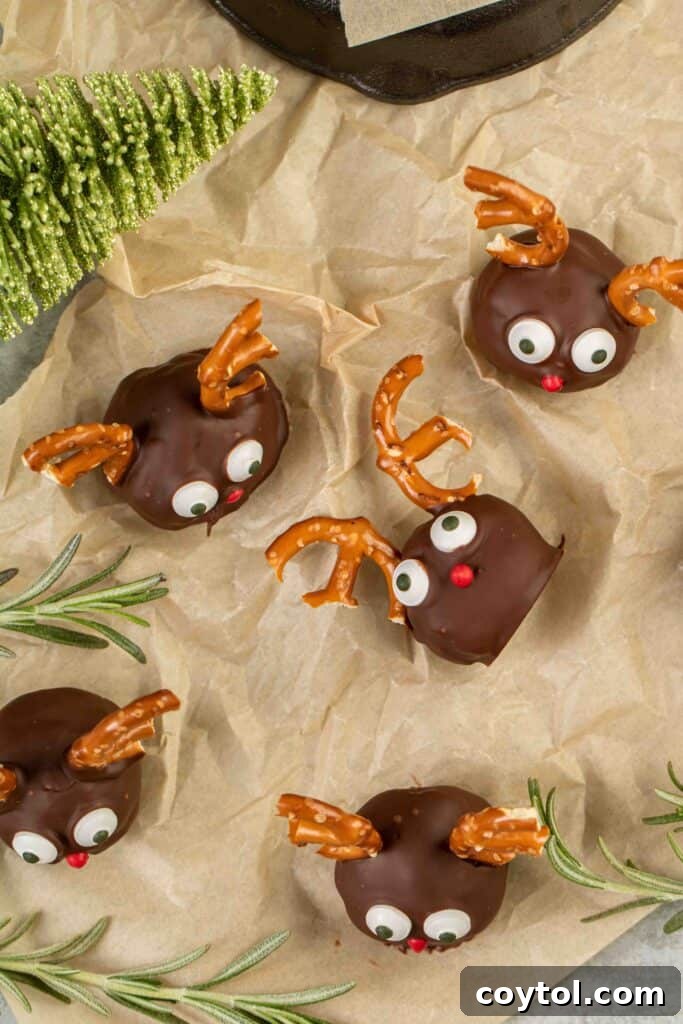 overhead shot of reindeer balls, a festive and healthy Christmas treat