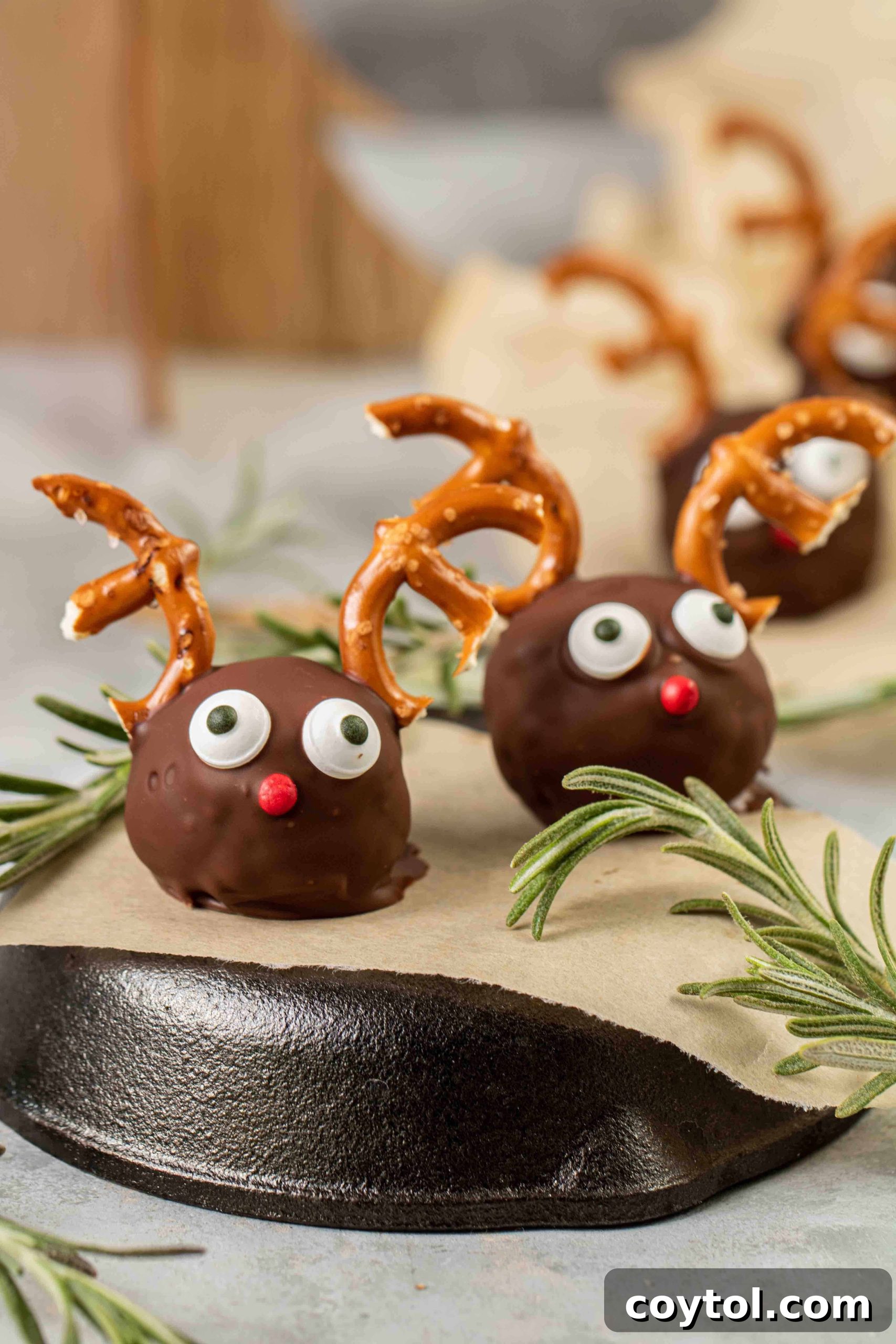 Close up Reindeer Peanut Butter Balls with Rice Krispies, perfectly decorated