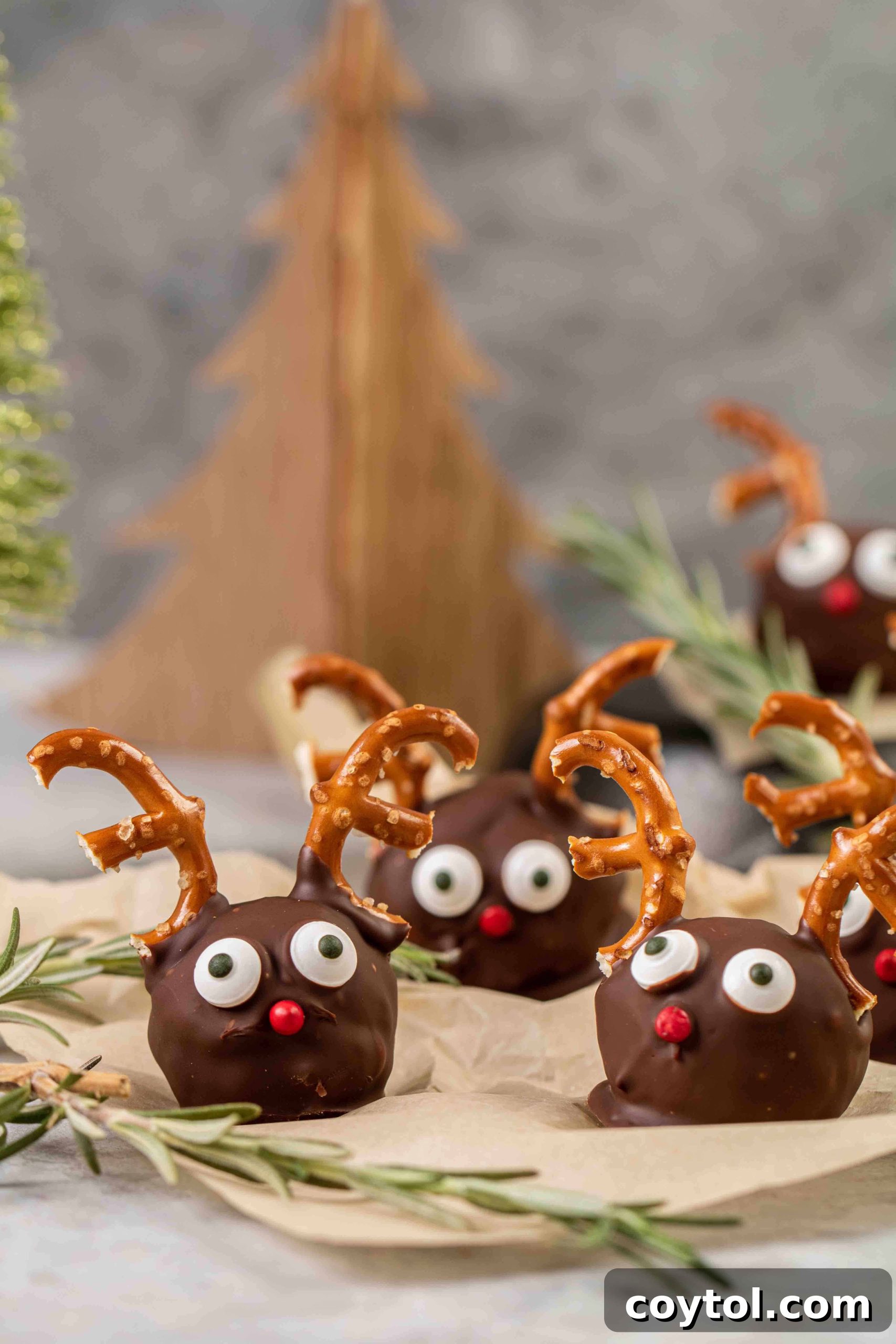 Straight shot of reindeer balls with vibrant decorations