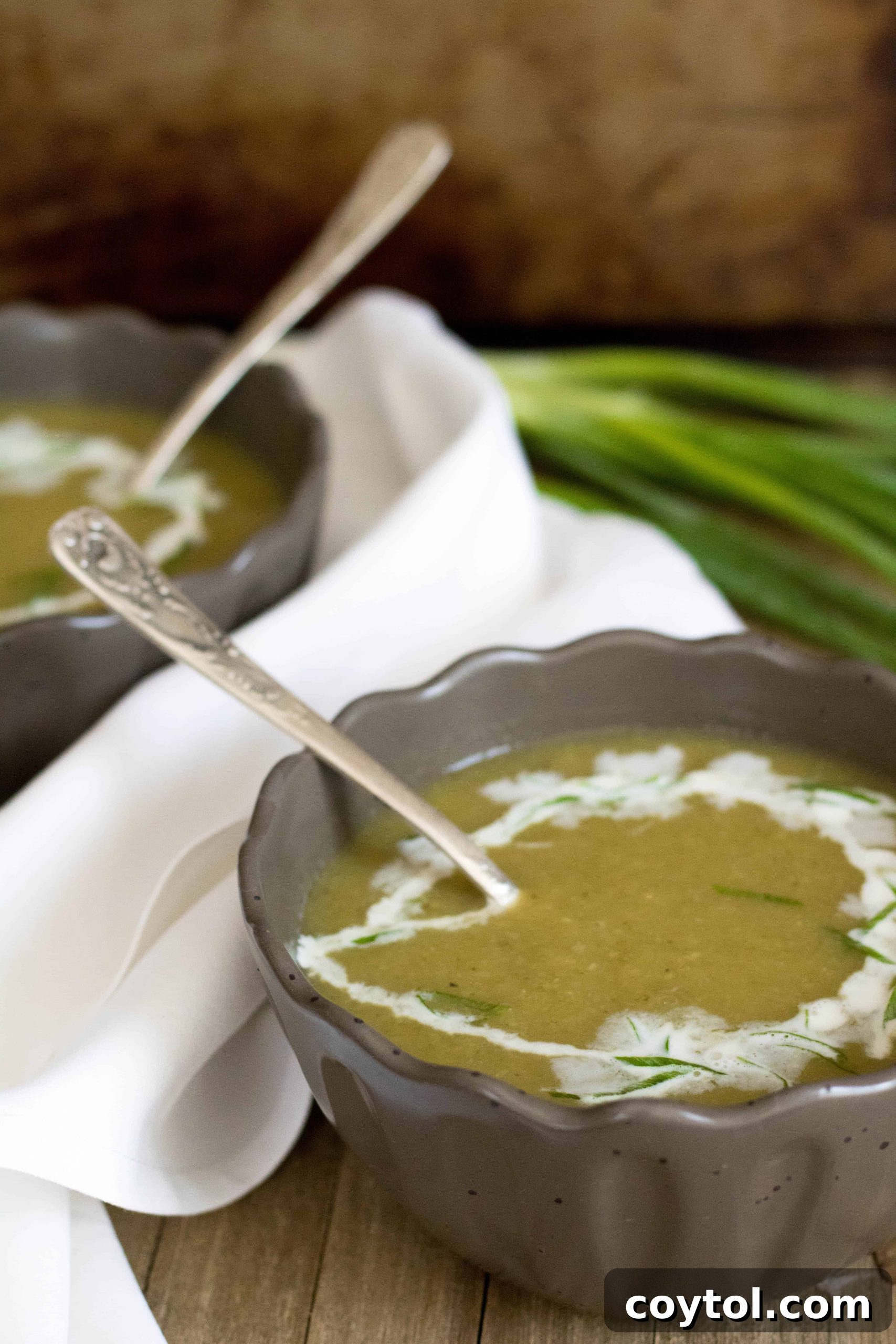 A vibrant bowl of Mexican squash soup garnished with fresh herbs, ready to be enjoyed.