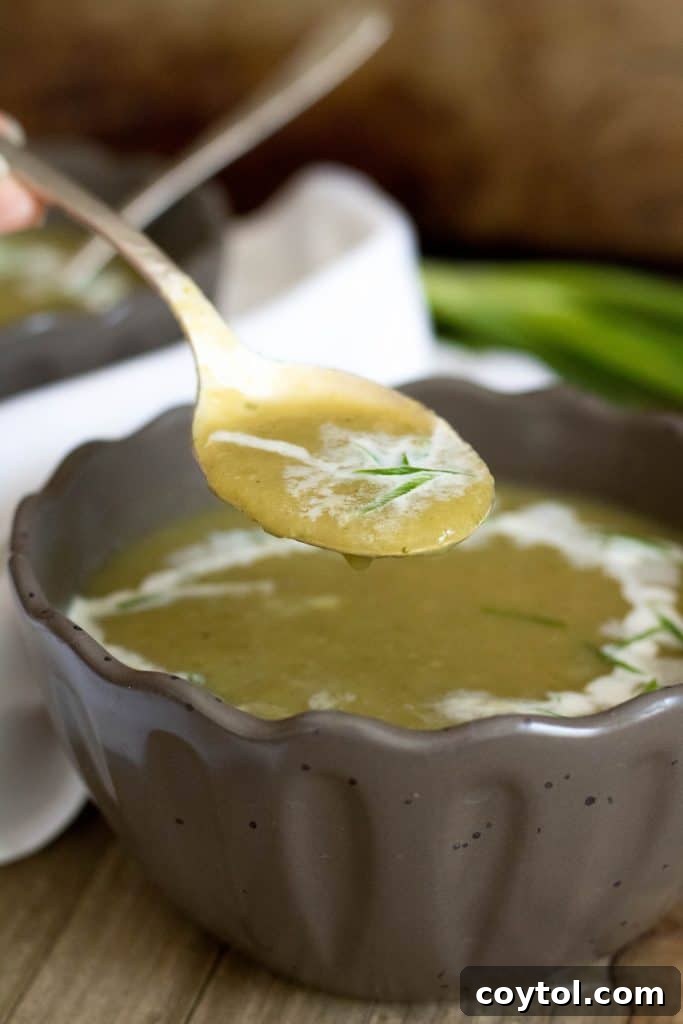 A bowl of creamy Mexican squash soup, showing its smooth texture.