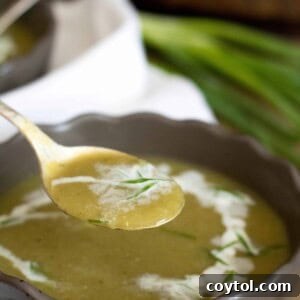 Creamy 4-Ingredient Zucchini Soup garnished with fresh herbs.