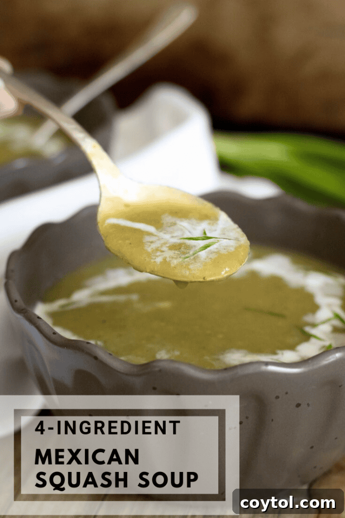A top-down view of the creamy 4-Ingredient Zucchini Soup in a bowl with a spoon.
