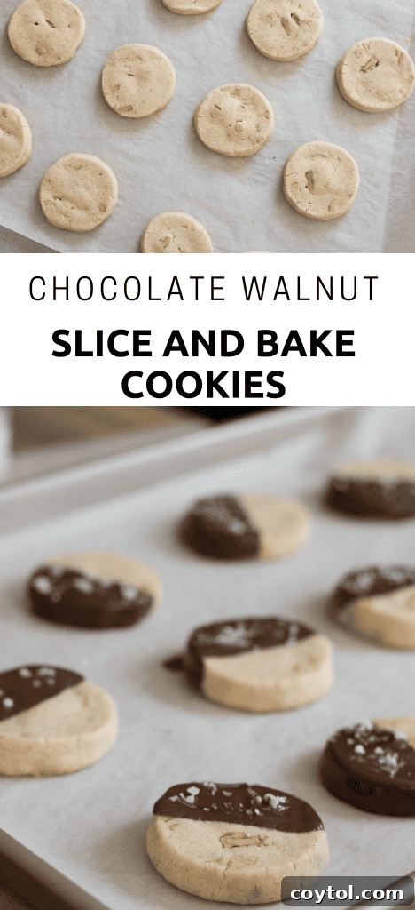 Decadent Chocolate Walnut Slice and Bake Cookies 11 Vertical image of chocolate walnut slice and bake cookie dough log