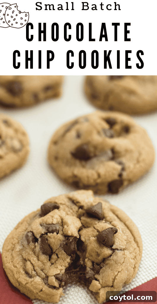 Decadent Chocolate Walnut Slice and Bake Cookies 7 Small batch chocolate chip cookies