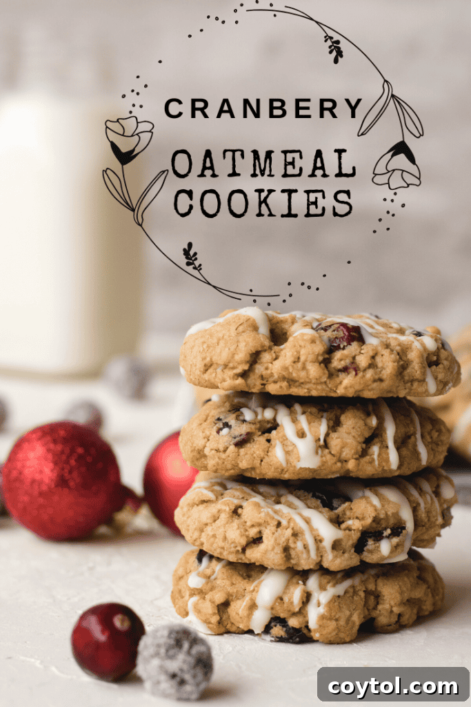 Decadent Chocolate Walnut Slice and Bake Cookies 8 Cranberry oatmeal cookies collage for pinterest