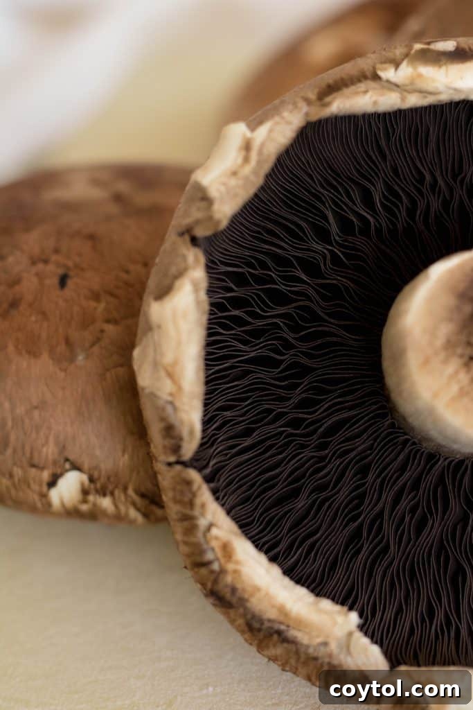 Close-up of creamy vegan mushroom pasta in a bowl, highlighting the rich sauce and tender ingredients.
