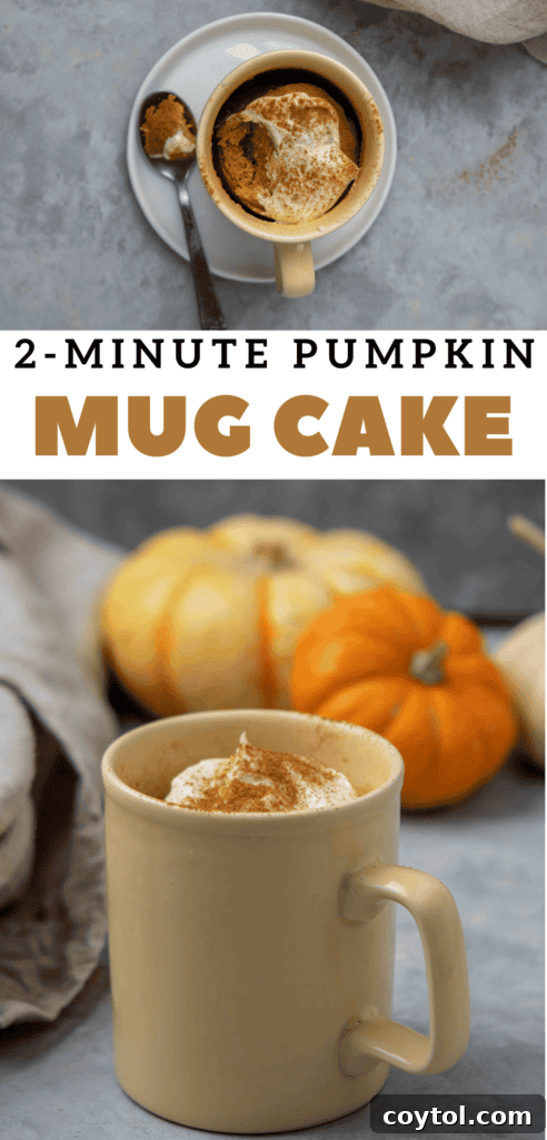 An appetizing close-up of a pumpkin mug cake, garnished with a dusting of pumpkin pie spice.