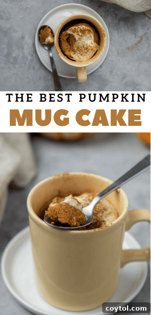 A charming pumpkin mug cake served with a spoon, highlighting its warmth and delightful simplicity.